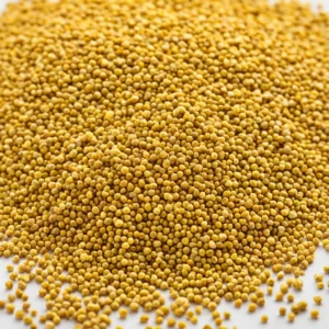 Bee Pollen premium natural product - B&T Naturals UAE