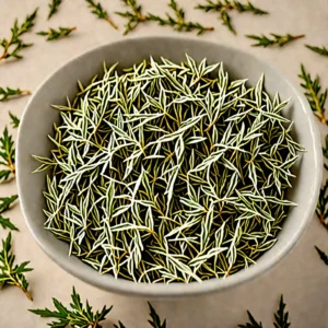 Desert Wormwood natural product - BTNaturals UAE