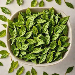 Mint natural product - BTNaturals UAE