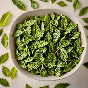 Peppermint natural product - BTNaturals UAE