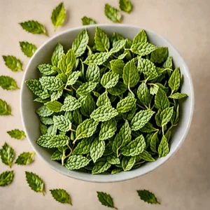 Spearmint natural product - BTNaturals UAE